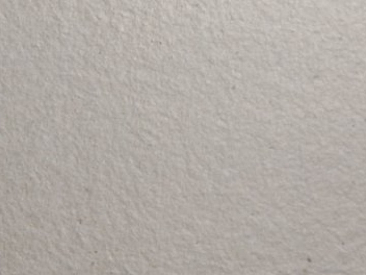 cogemica